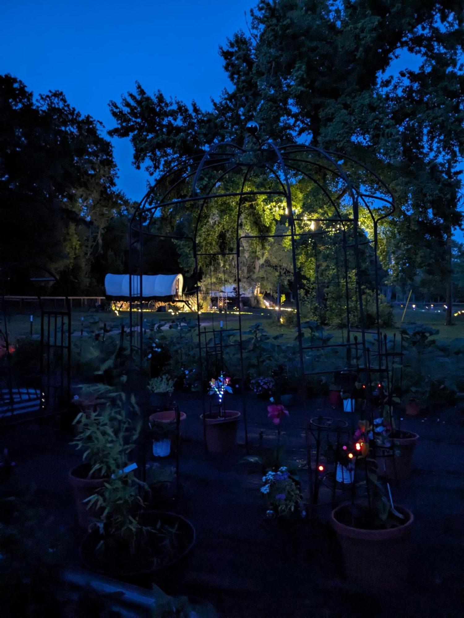 Rooterville Animal Sanctuary Melrose Экстерьер фото